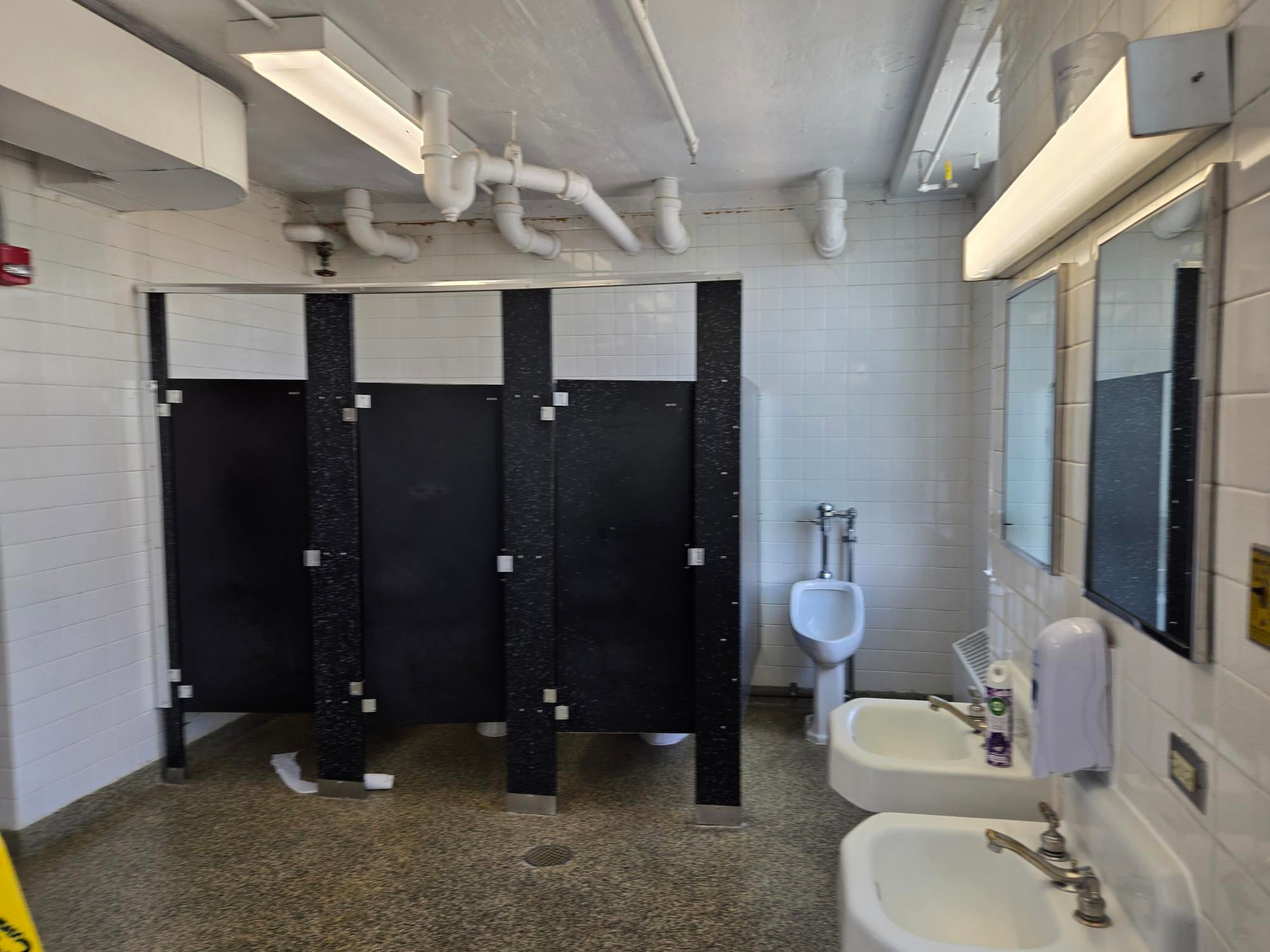 Chestertown bathroom stalls view