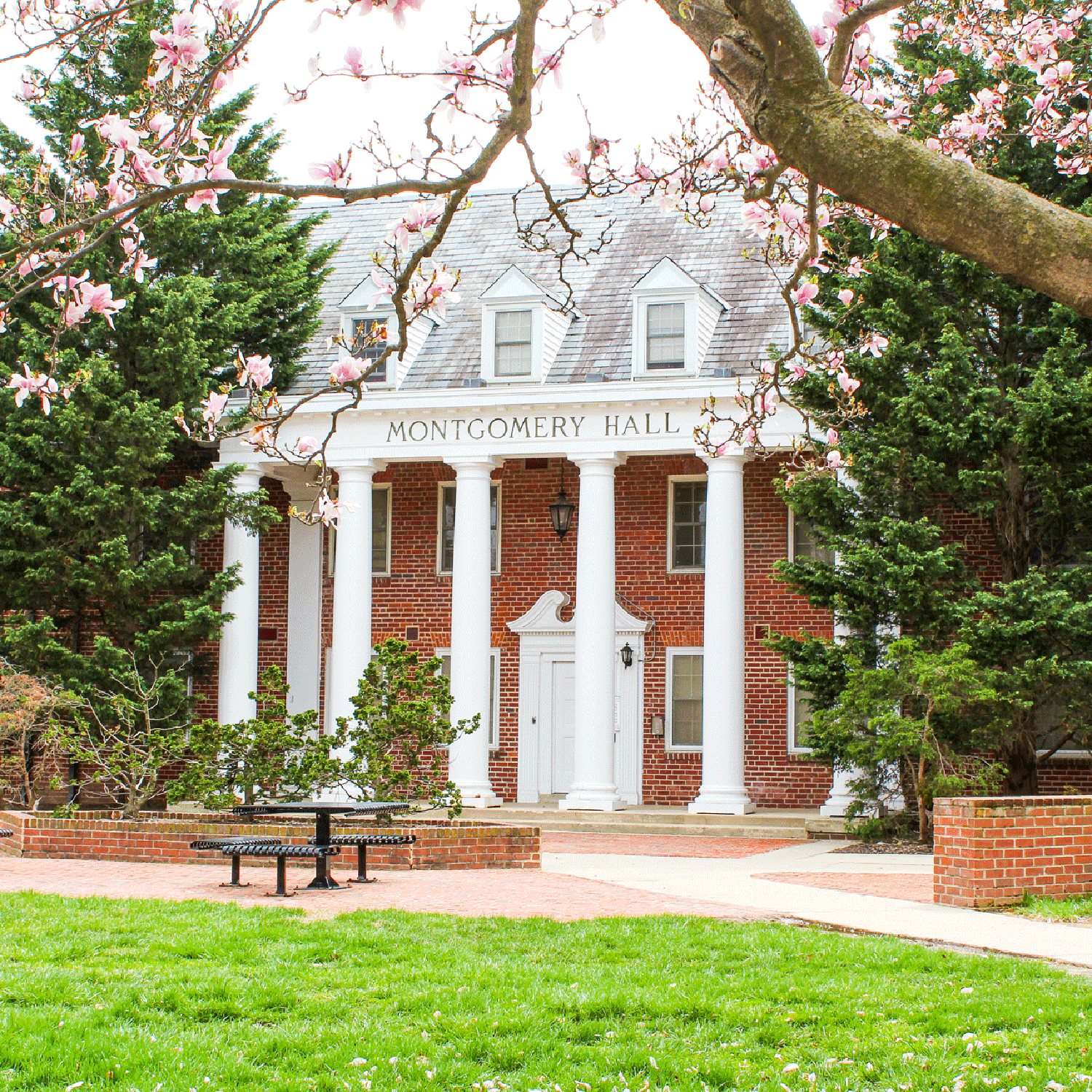 exterior of Montgomery Hall