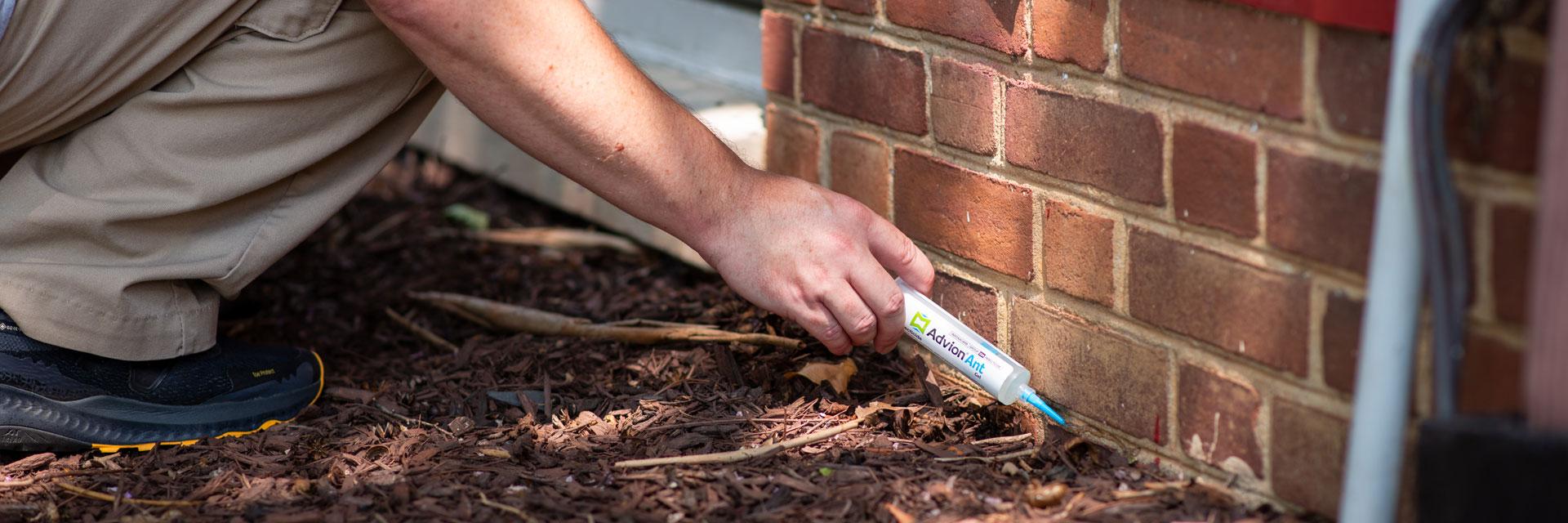 DRF staff applying ant gel insecticide to the exterior brick wall of a residence hall